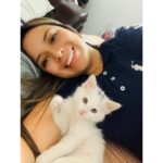 Ragdoll Cat for Sale in Bangalore